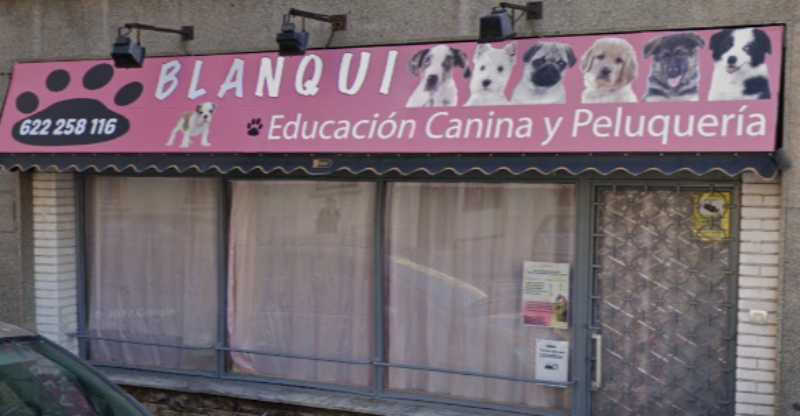 Blanqui Peluquería Canina - Perro siendo cuidado